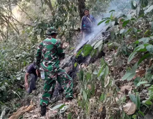 Kebakaran Hutan Gunung Kujang Landa Cijambe Subang Kebakaran Hutan Gunung Kujang Cijambe