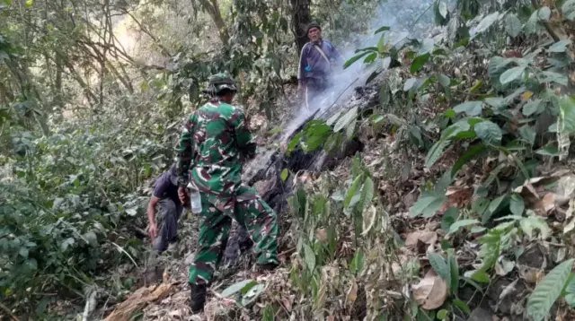 Kebakaran Hutan Gunung Kujang Cijambe