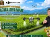 Roadshow Drone Pertanian DJI Agras Digelar di Subang roadshow drone pertanian